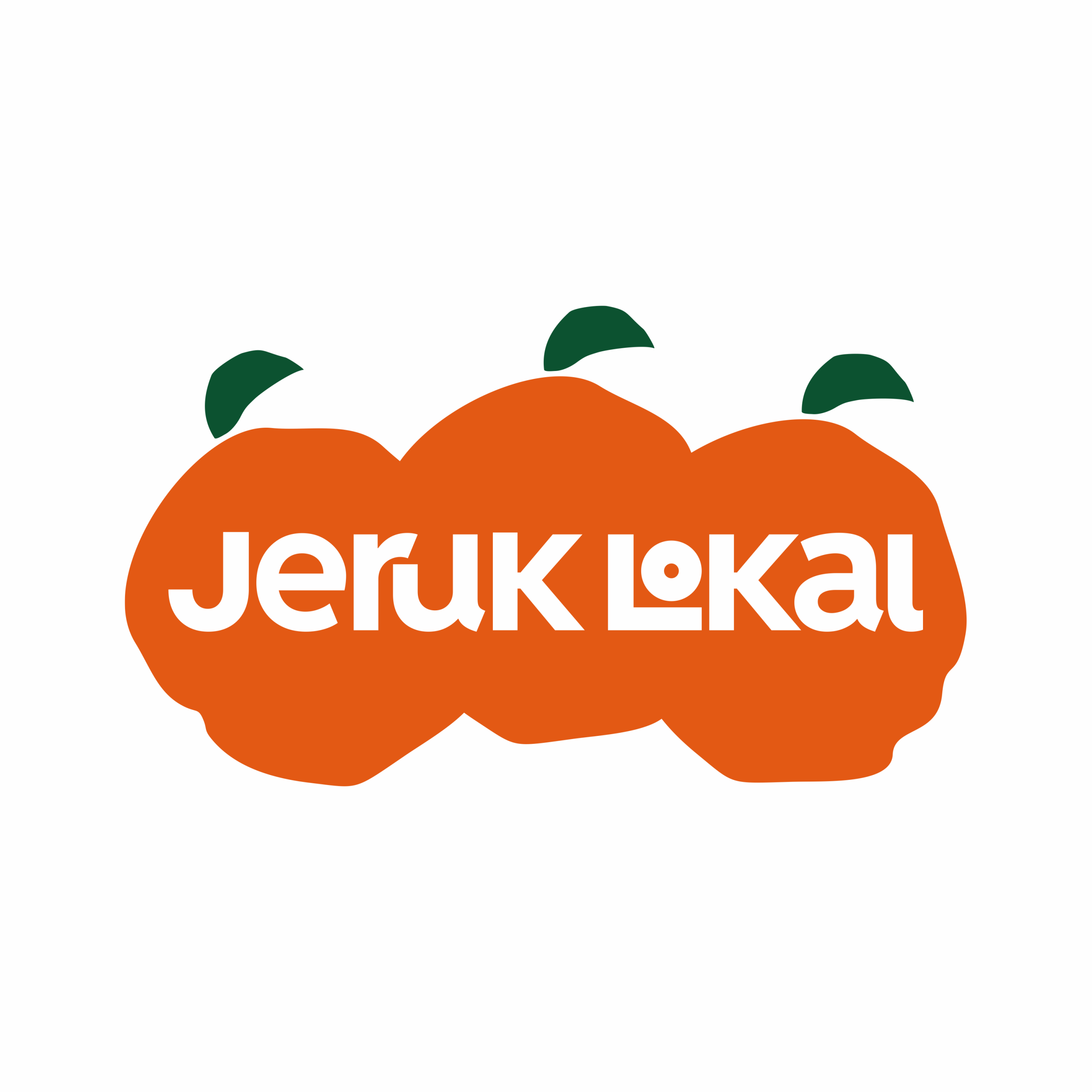 Jeruk Lokal 